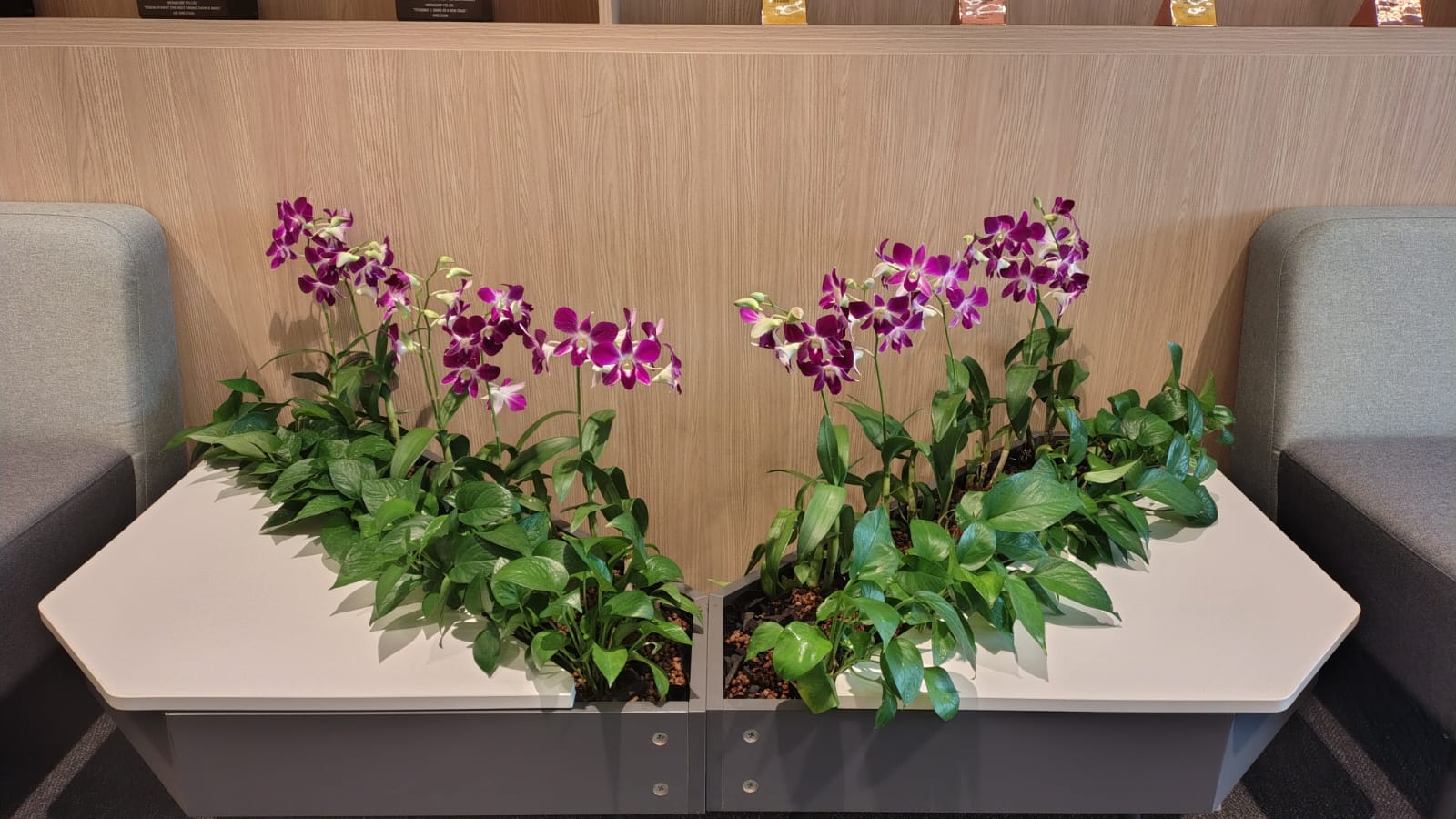 vibrant and seasonal fresh flower floral display arrangement